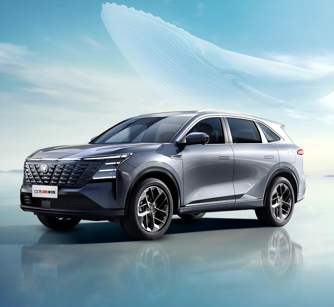 图片7.png 图片7.png